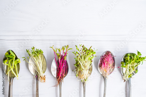 Organic microgreens in spoon, healthy eating concept, diet and slimming, vegan lifestyle photo