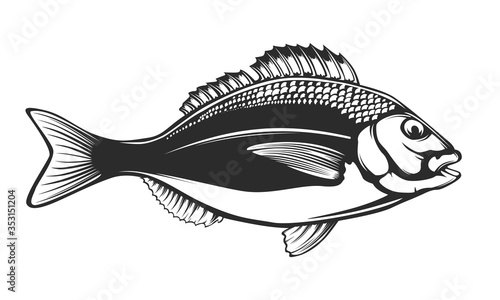 Dorado fishing  logo. Dorado fish club emblem. Fishing theme illustration. Isolated on white.