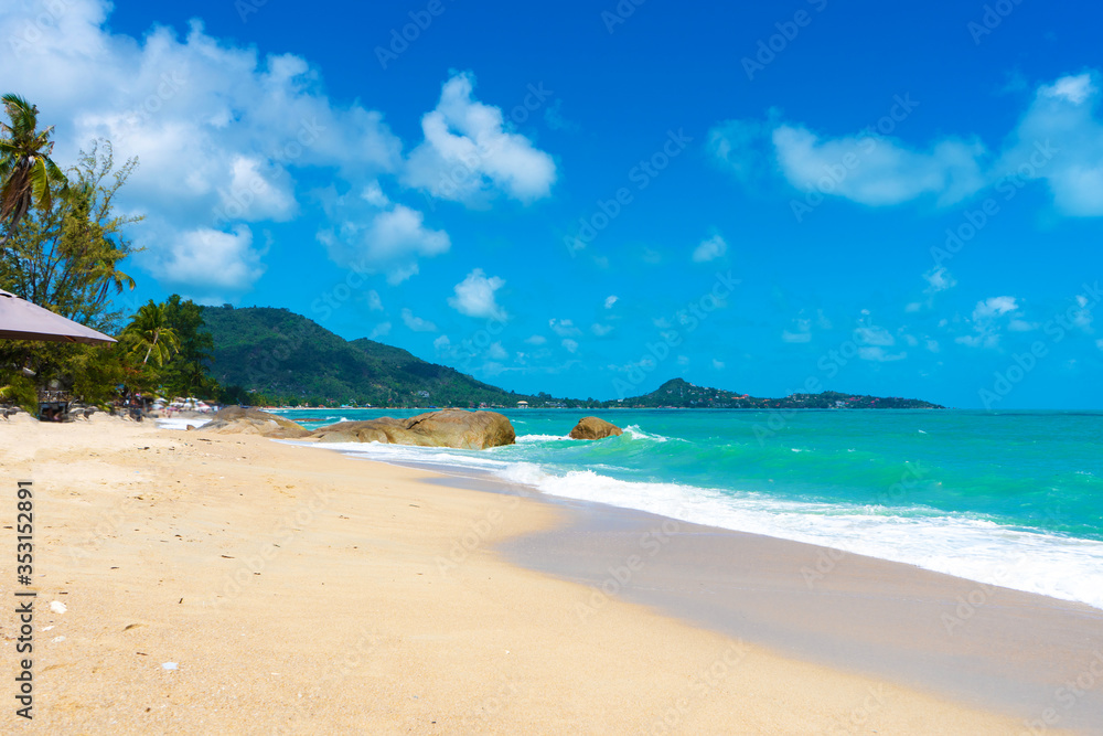 Gorgeous tropical sandy beach with palm trees, blue sky and clear water. Gorgeous tropical sandy beach with palm trees, blue sky and clear water.