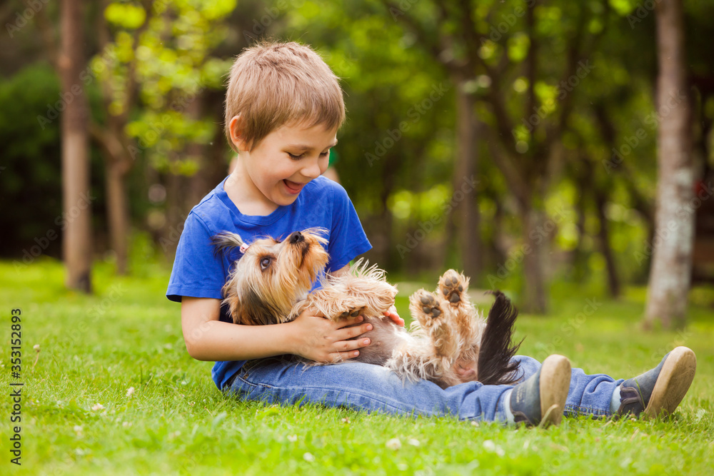 Nice rest with a cute little dog in the yard Nice rest with a cute little dog in the yard