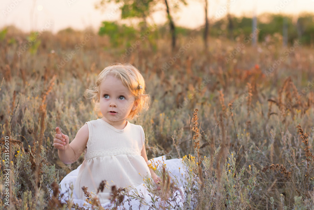 little girl sits in a field of wheat little girl sits in a field of wheat