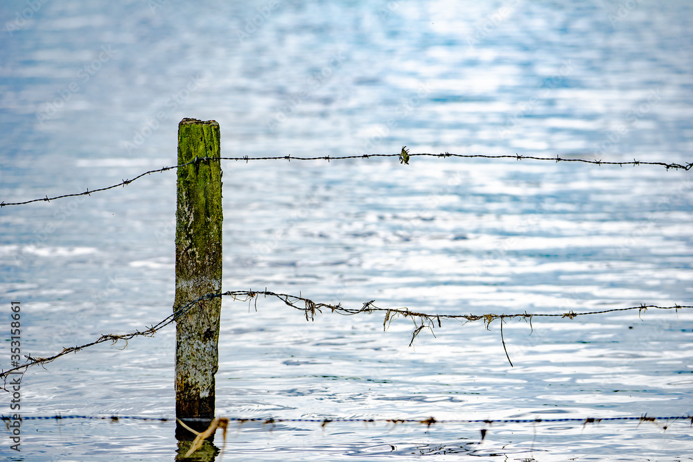 barbed wire fence barbed wire fence