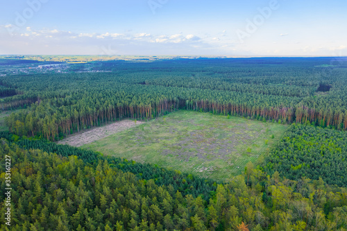 A huge area of continuous deforestation of green coniferous forests. Human impact on the environment. Aerial Shot. photo