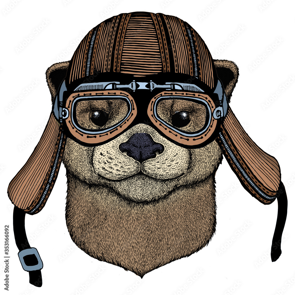 otter goggles