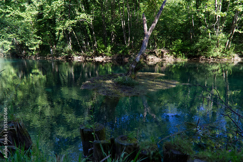 Italy, the splendid deep green waters of the Livenza river photo