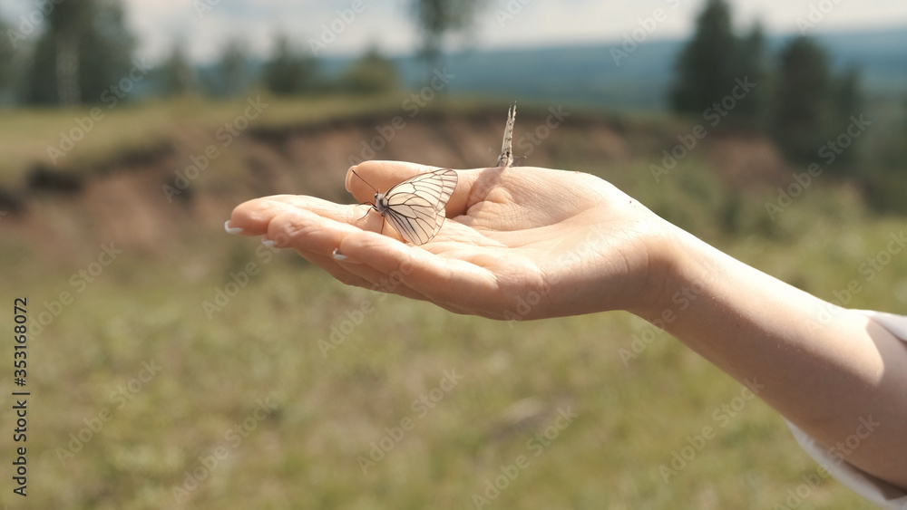 Butterfly Flying Away From Hands