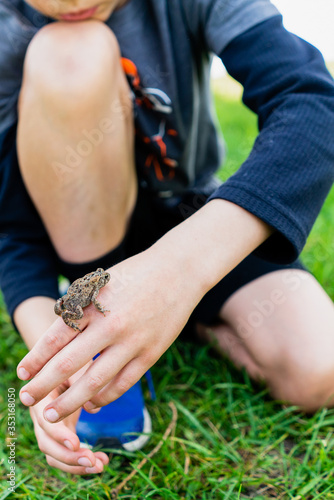 Low angle view of a frog crawiling up a child's hand photo