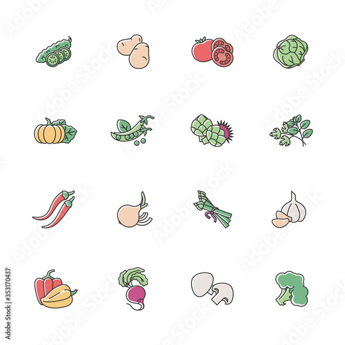 Vegetable RGB color icons set. Tomato for ketchup. Potato and lettuce. Raw root, ripe bulb. Seasonal healthy food. Fresh vegetarian salad ingredient. Raw veggies. Isolated vector illustrations