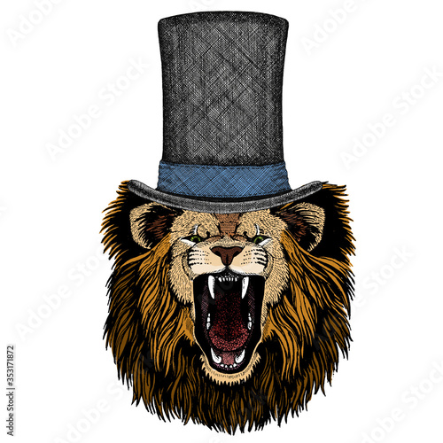 Lion. Wild animal portrait. Face of african cat. Cylinder hat.