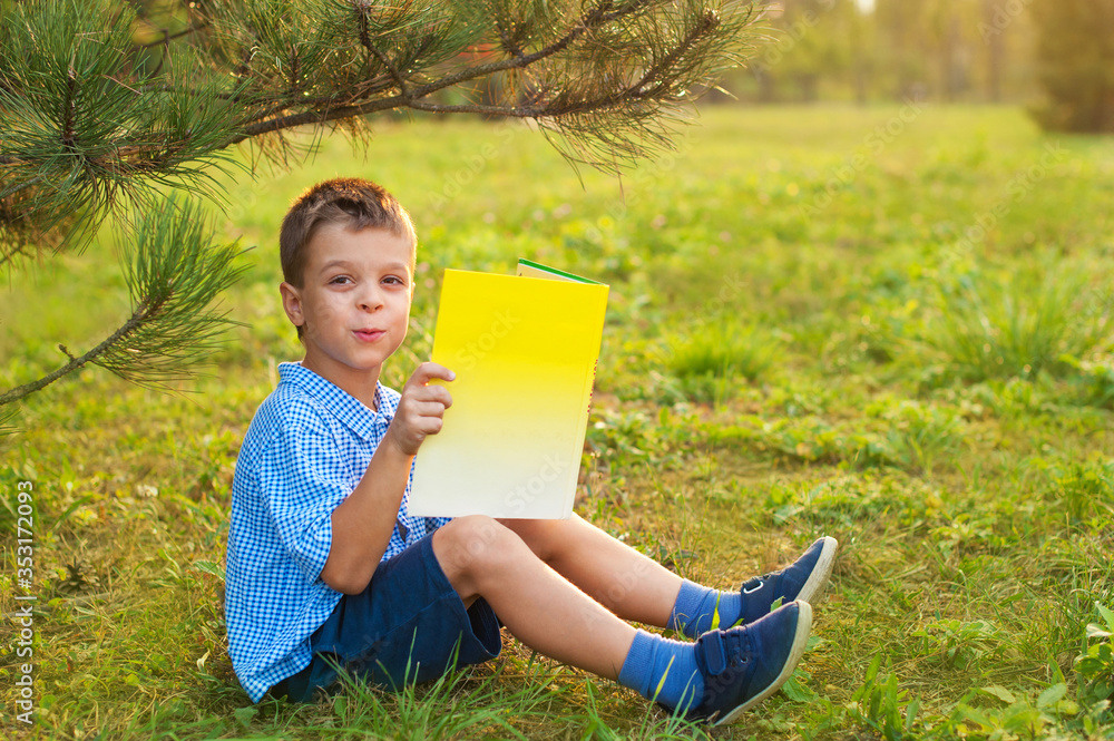 custom made wallpaper toronto digitalLittle boy a schoolboy in a park at sunset reads a book. A surprised joyful child in a blue shirt with a yellow book in the park sits on the grass at sunset. Distance learning has ended.