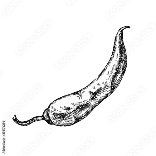 Hand drawn chili pepper