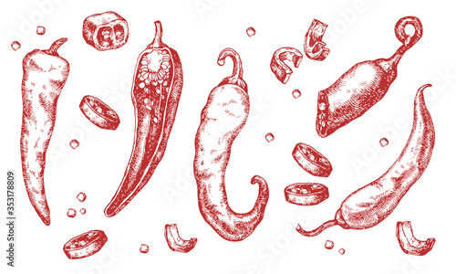 Chili pepper