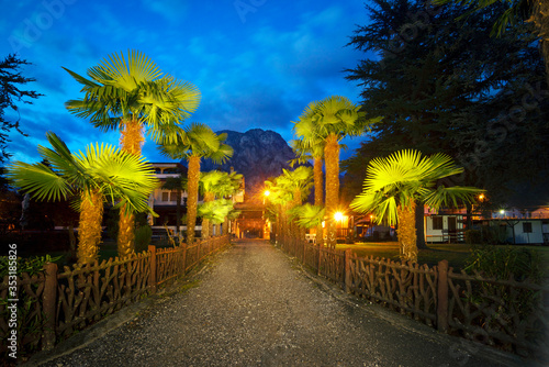 palm trees camping lake Como