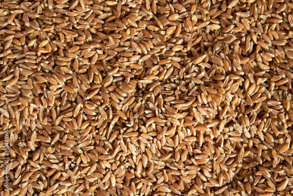 Texture of spelt porridge