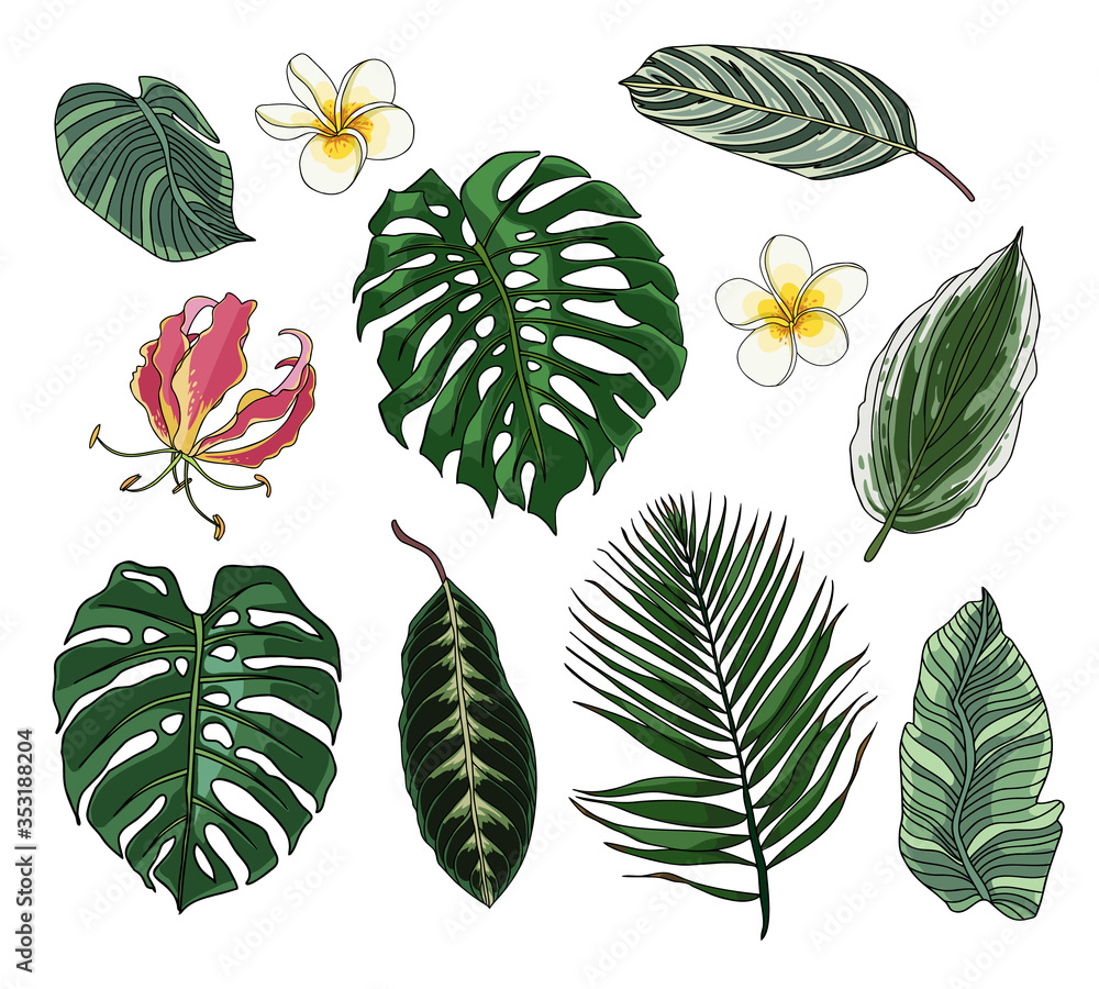 Set of hand-drawn vector tropical leaves and flowers.
Set of hand-drawn vector tropical leaves and flowers.