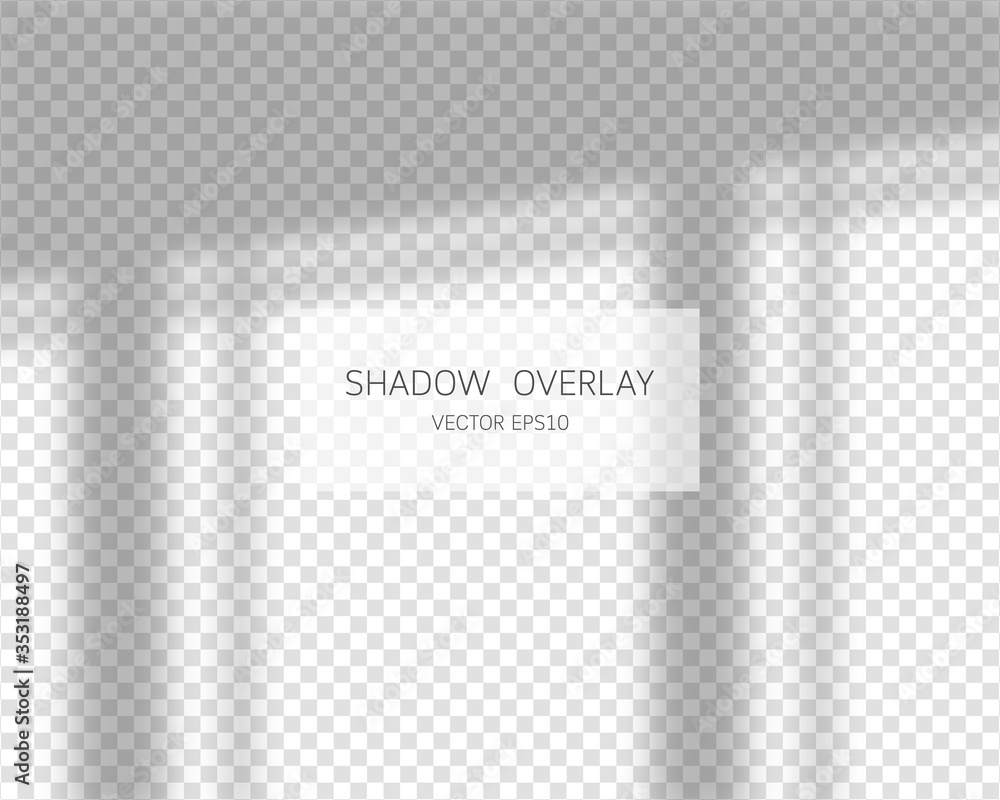 Shadow overlay effect. Natural shadows from window isolated on transparent background. Vector illustration. 