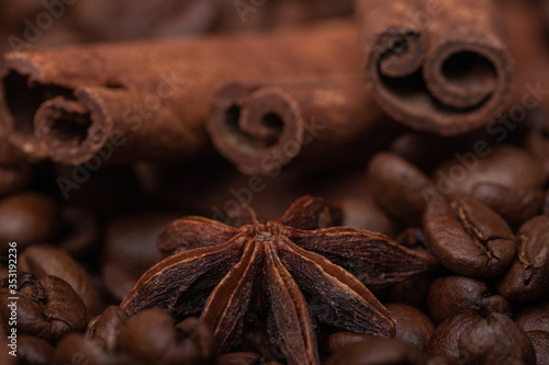 Star anise and cinnamon sticks on coffee beans © Sklyarov