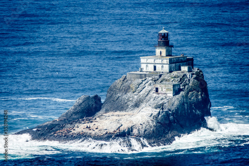 Closeup of Tilly the Tillamook Lighthouse photo