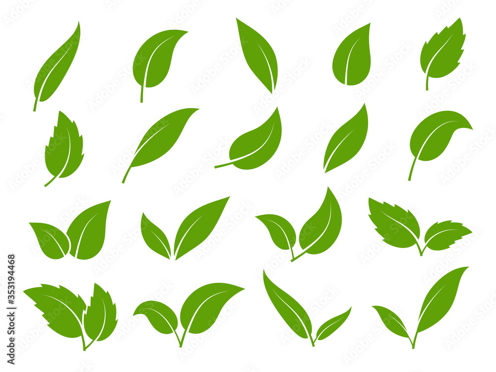 Leaf icon. Green leaves of trees and plants, various shapes. Eco vegan sprout or bio foliage elements vector set