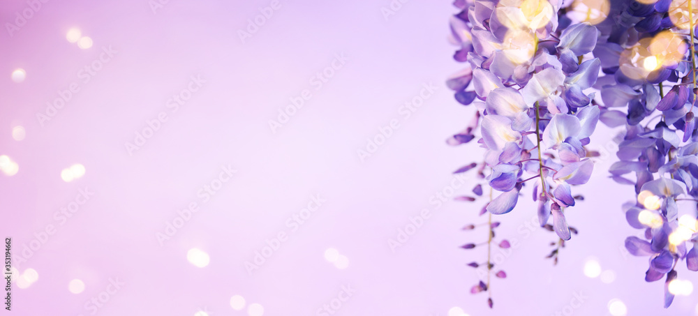 Spring flowers for Mothers Day Spring flowers for Mothers Day