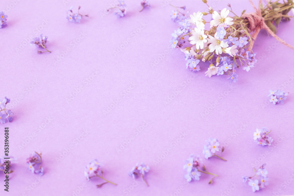 Banner from a bouquet of wild flowers on a pastel background, top view, place for the inscription Banner from a bouquet of wild flowers on a pastel background, top view, place for the inscription