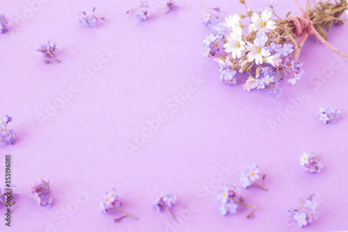 Banner from a bouquet of wild flowers on a pastel background, top view, place for the inscription