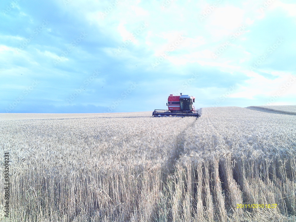 Fototapeta premium Agronegócio Maquina Lavoura Plantação Colheita