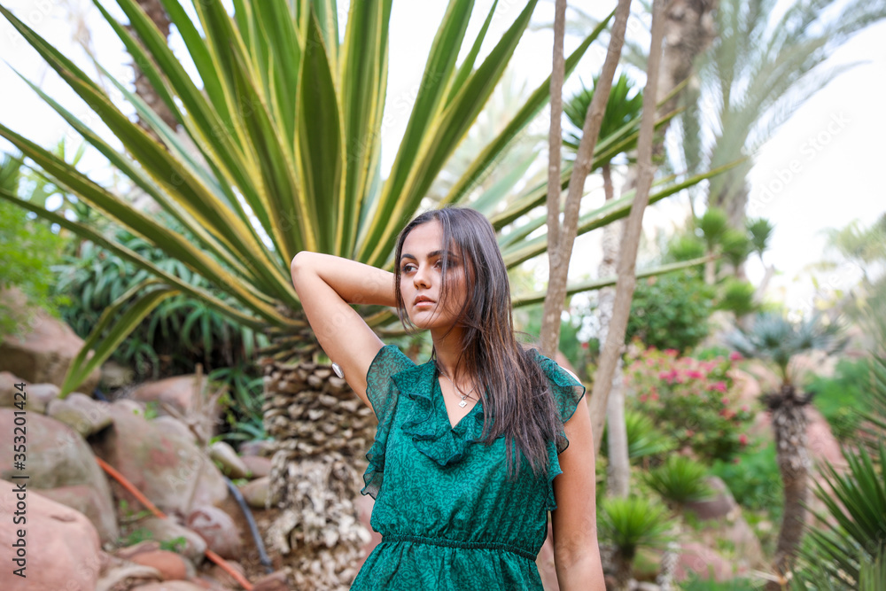 Chic girl in a long evening dress. Chic girl in a long evening dress.