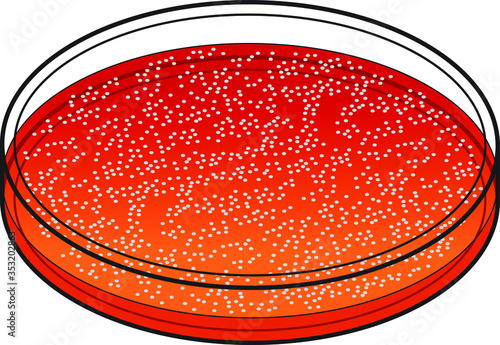 Petri dish with red culture medium and bacterial/virus colony.