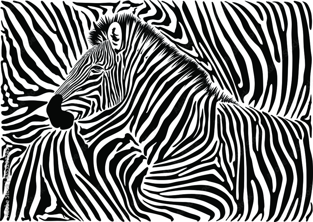 Background with a zebra motif Background with a zebra motif