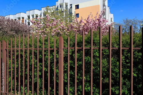 Vegetation between fence and large building