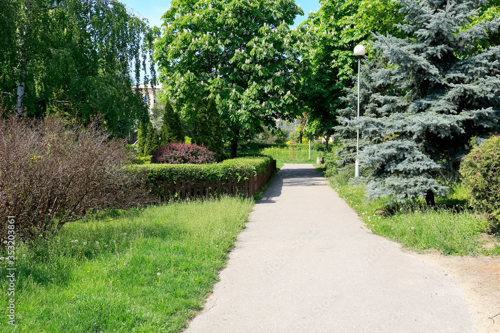 An empty pathway among lush vegetation An empty pathway among lush vegetation