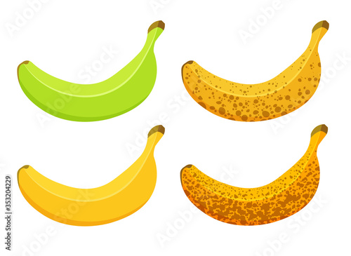 Vector illustration of banana ripeness isolated on white background. Set of different colours bananas, green underripe to brown overripe.
