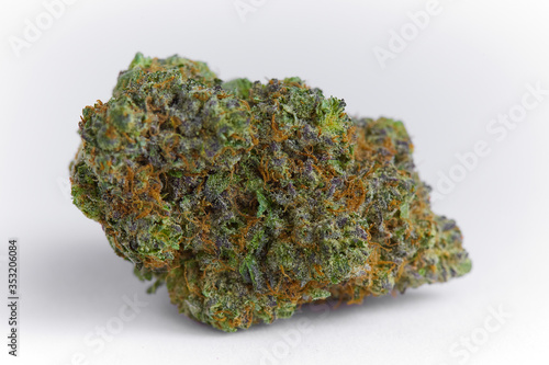 close up macro photo of high quality greenhouse grown medical and and recreational marijuana indica strain marijuana bud isolated on white background