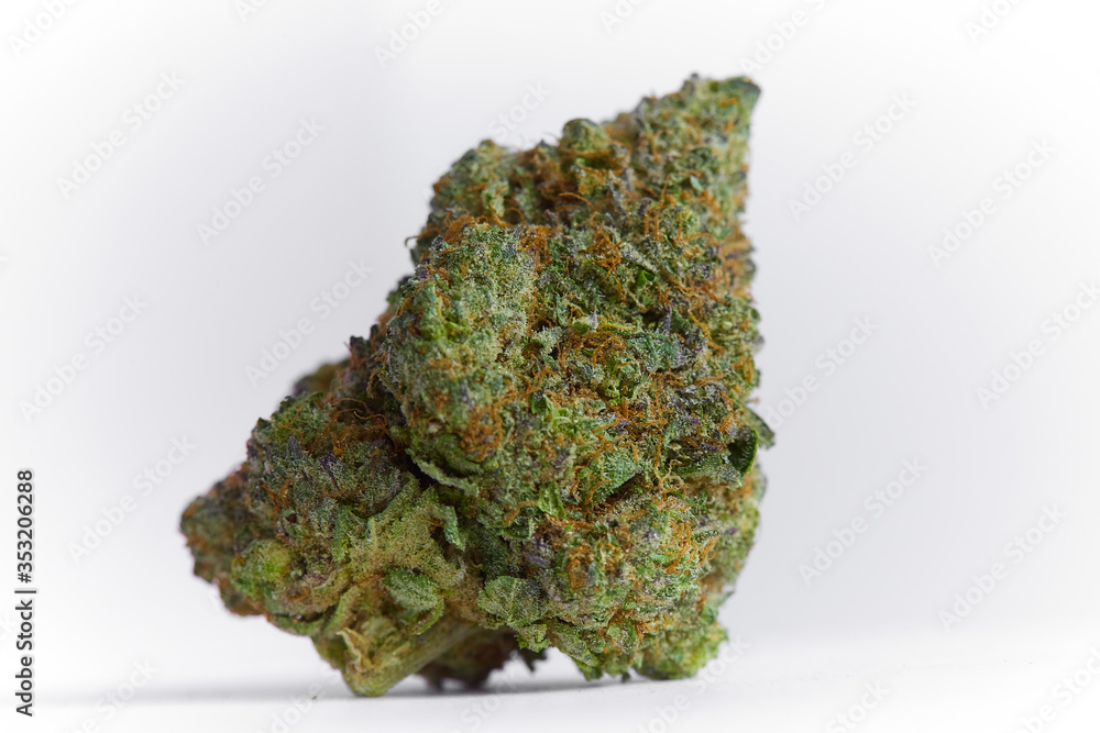 close up macro photo of high quality greenhouse grown medical and and recreational marijuana indica strain marijuana bud isolated on white background close up macro photo of high quality greenhouse grown medical and and recreational marijuana indica strain marijuana bud isolated on white background