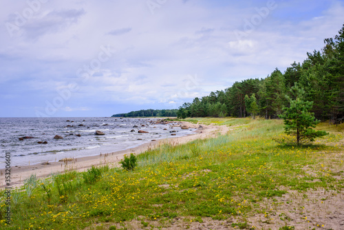 Picturesque Baltic sea coast  Lahemaa national Park  Estonia