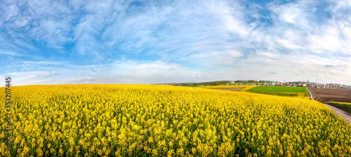 Wonderful panoramic view of the rapeseed field from above, and the city on the horizon