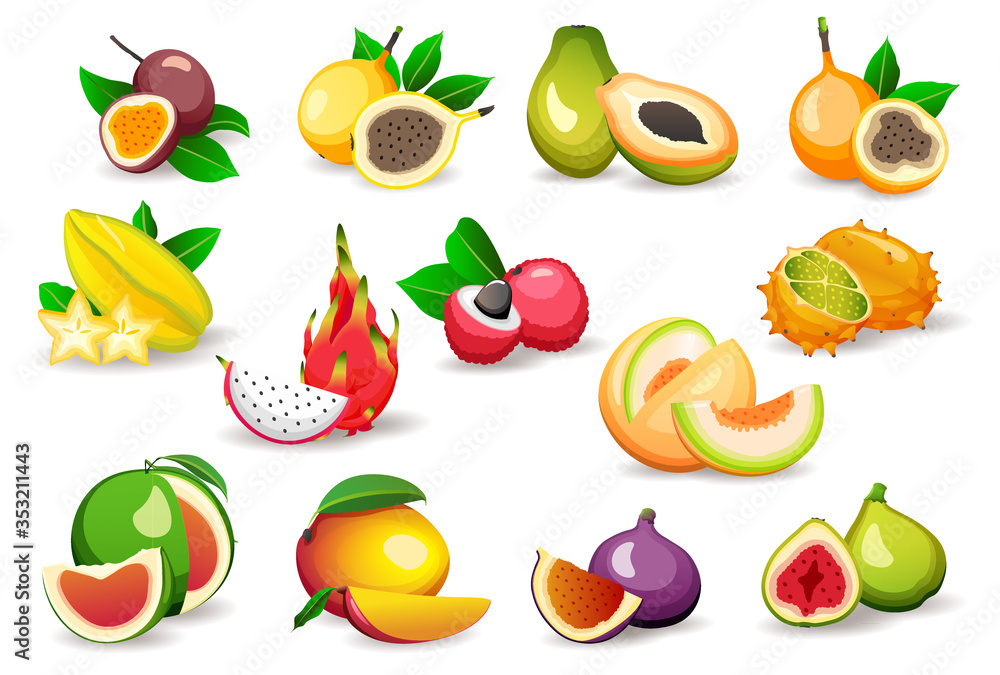 Set of various exotic fruits isolated on white background, flat style vector illustrations. Vegetarian food Set of various exotic fruits isolated on white background, flat style vector illustrations. Vegetarian food