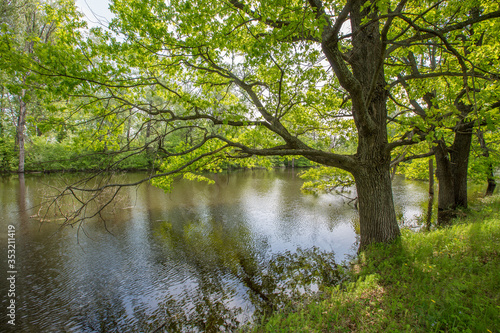 spring floods, spilled forest lake