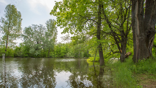 spring floods, spilled forest lake