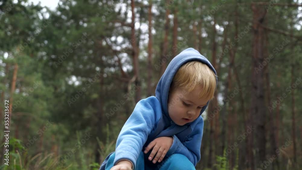 Lonely Little Boy Plays Alone in the Forest. Lonely Child Plays with Toys in Sand in Pine Wood Lonely Little Boy Plays Alone in the Forest. Lonely Child Plays with Toys in Sand in Pine Wood