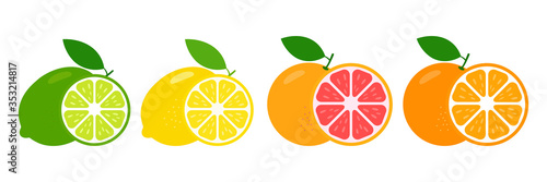Fresh citrus fruits whole and halves of lime, lemon, grapefruit and orange. Vector illustration isolated on white background. 