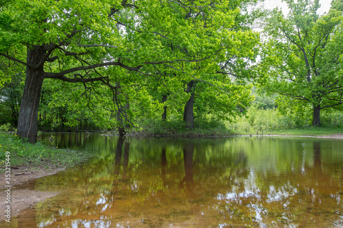 spring floods  spilled forest lake