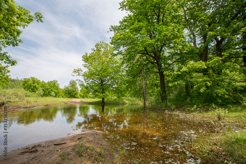 spring floods, spilled forest lake spring floods, spilled forest lake