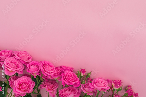 Floral composition with roses flowers on pink background. Flat lay