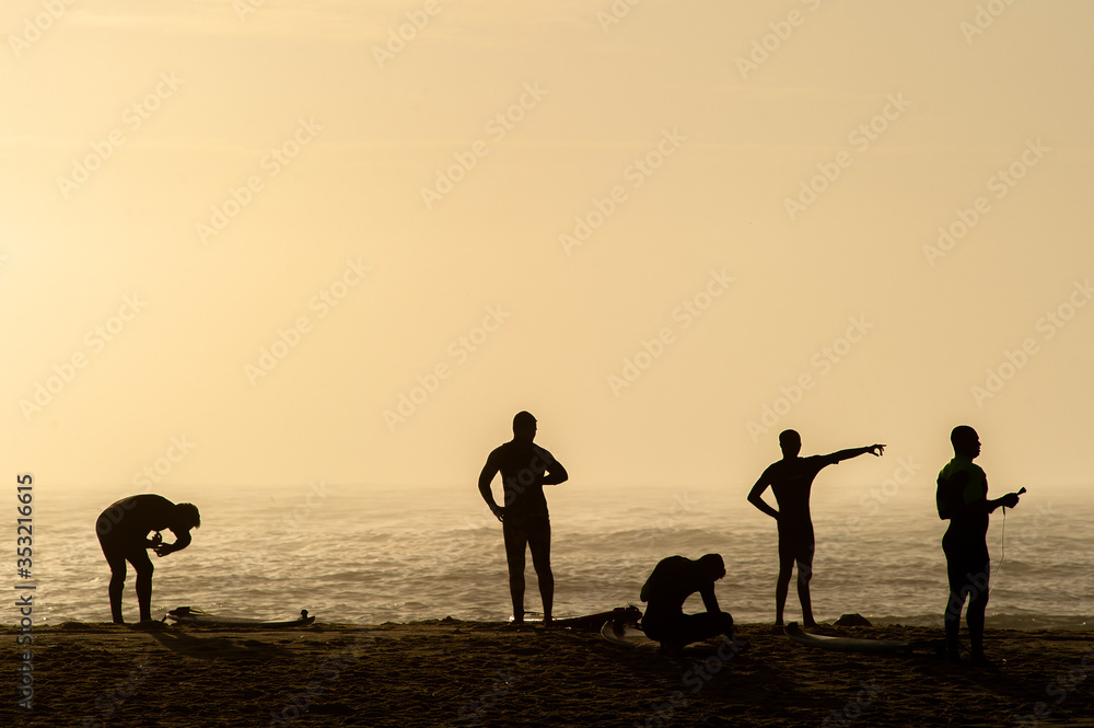 Silhouette of a group of surfers during sunrise on the beach.
