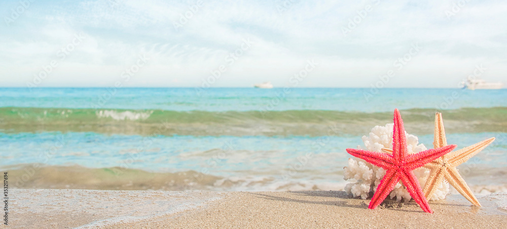 sea shells on tropical sand turquoise sea, summer vacation travel concept sea shells on tropical sand turquoise sea, summer vacation travel concept