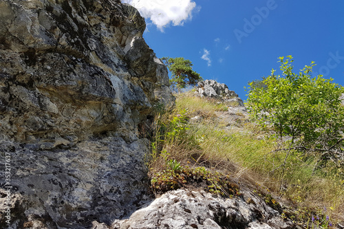 Scenery landscape with green forest and high rocky mountain under blue sky. nature