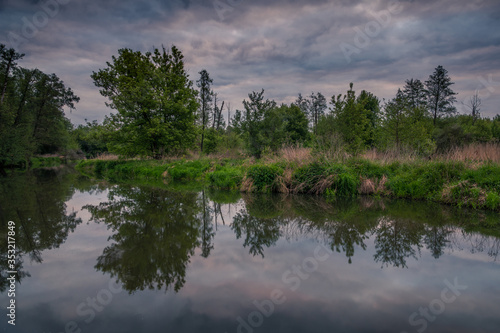 Obraz na płótnie Jeziorka river during cloudy morning at spring near Piaseczno, Poland w salonie
