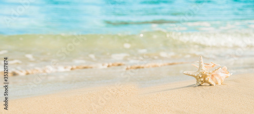 sea shells on tropical sand turquoise sea, summer vacation travel concept © Vladimir